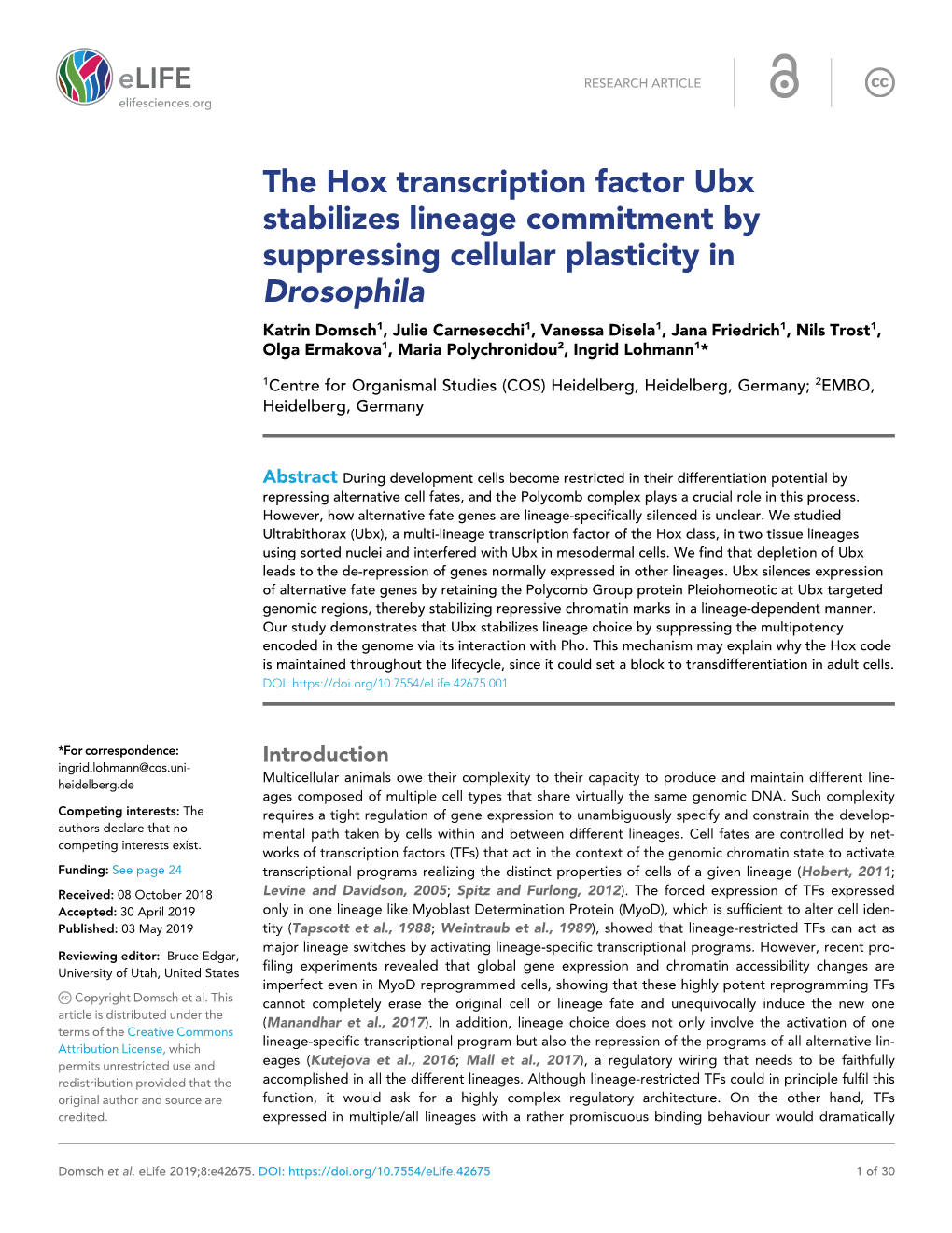 The Hox Transcription Factor Ubx Stabilizes Lineage Commitment By
