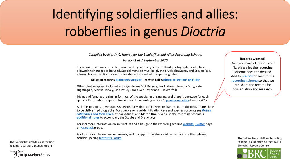 Dioctria ID Guide