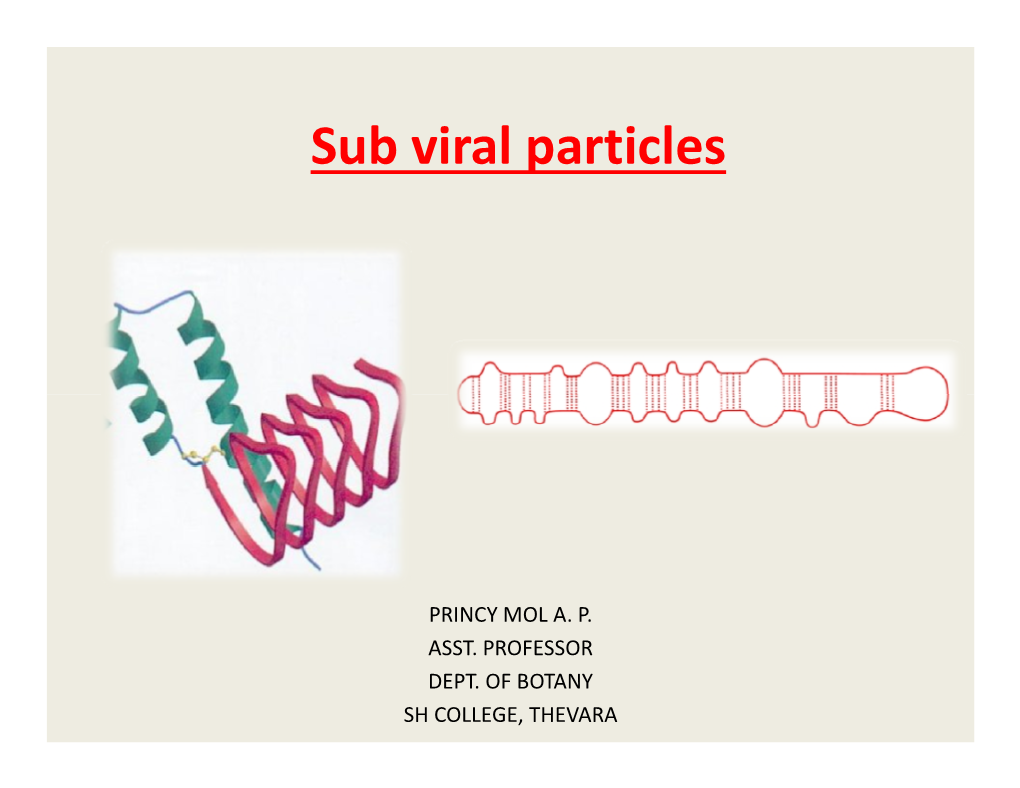 Sub Viral Particles