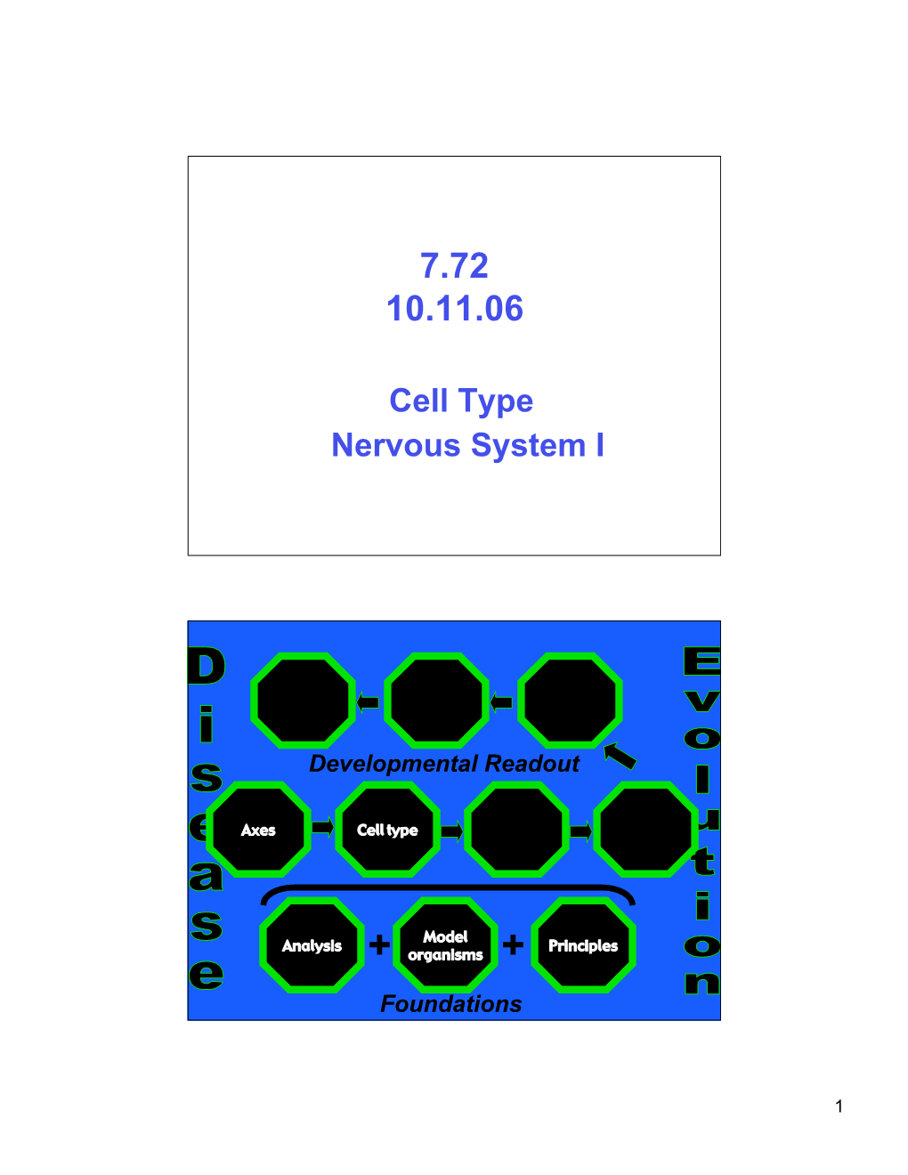 Cell Type Nervous System I