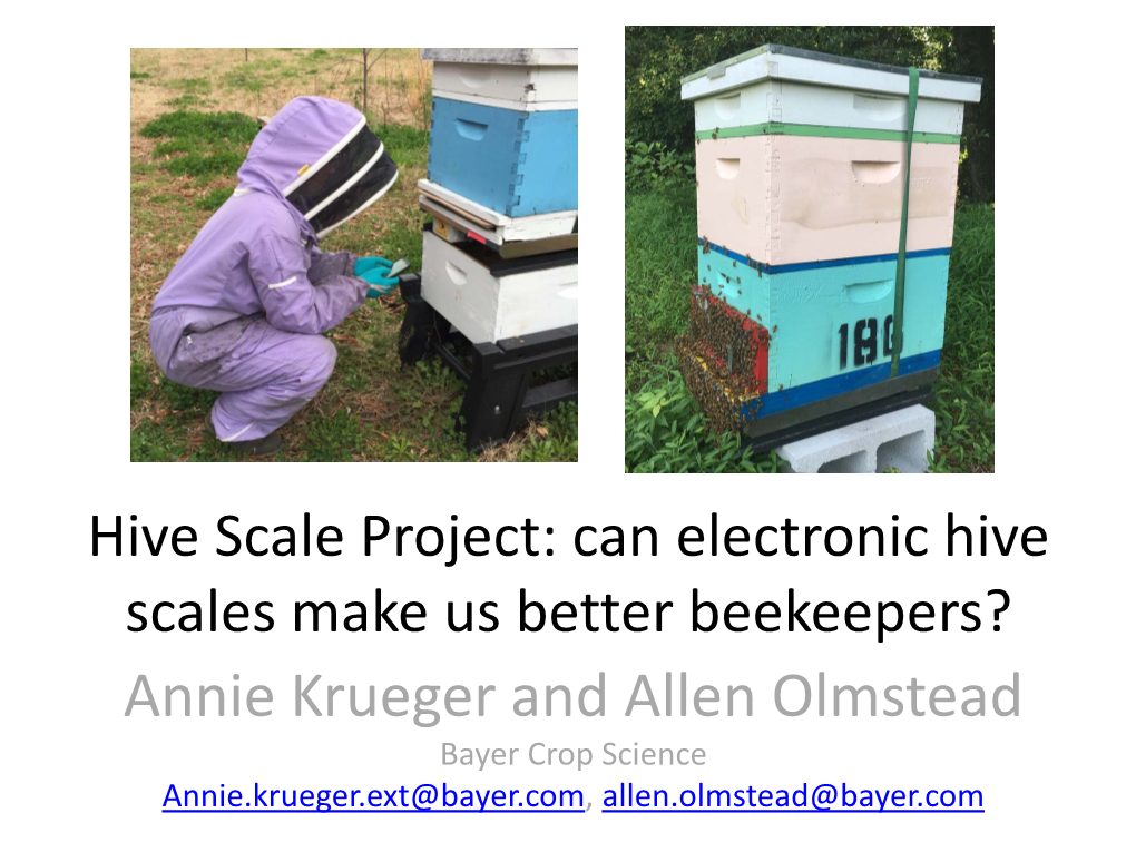 Hive Scale Project