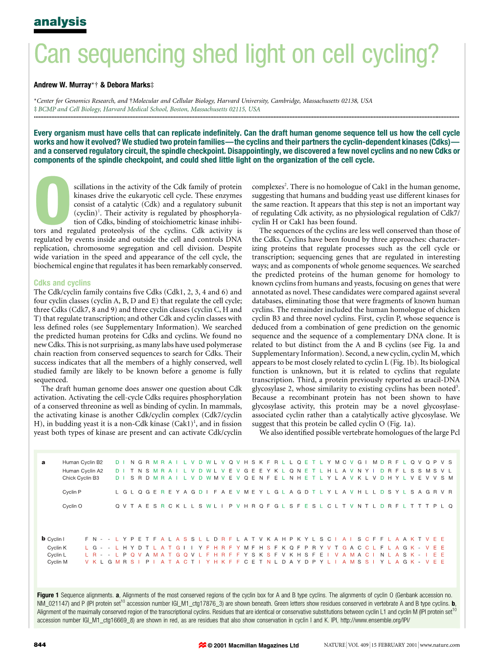 Can Sequencing Shed Light on Cell Cycling?