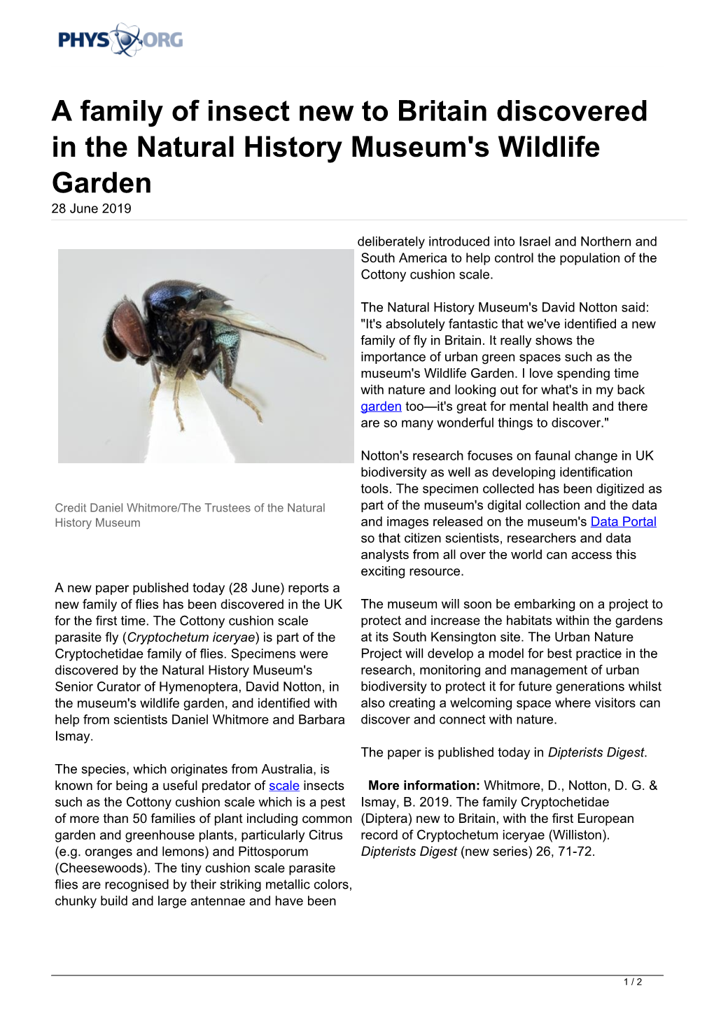 A Family of Insect New to Britain Discovered in the Natural History Museum's Wildlife Garden 28 June 2019