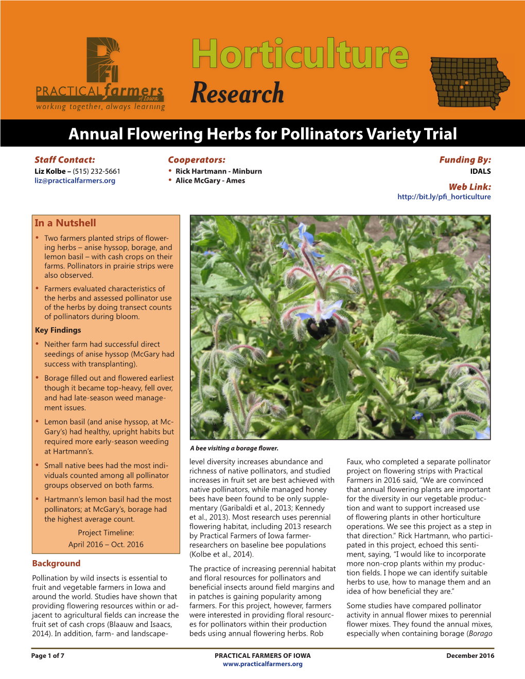 Horticulture Annual Flowering Herbs for Pollinators Variety Trial