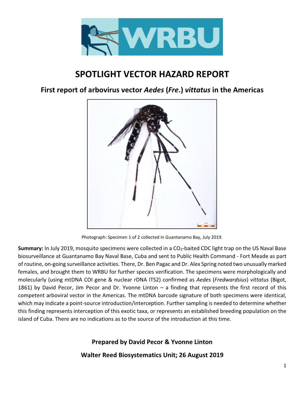 Aedes Vittatus Was Later Placed in the Aedes Subgenus Stegomyia