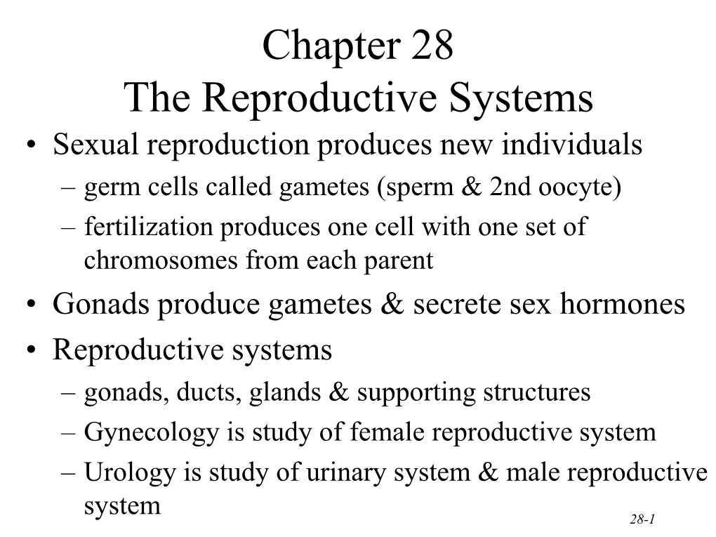 Chapter 28 the Reproductive Systems