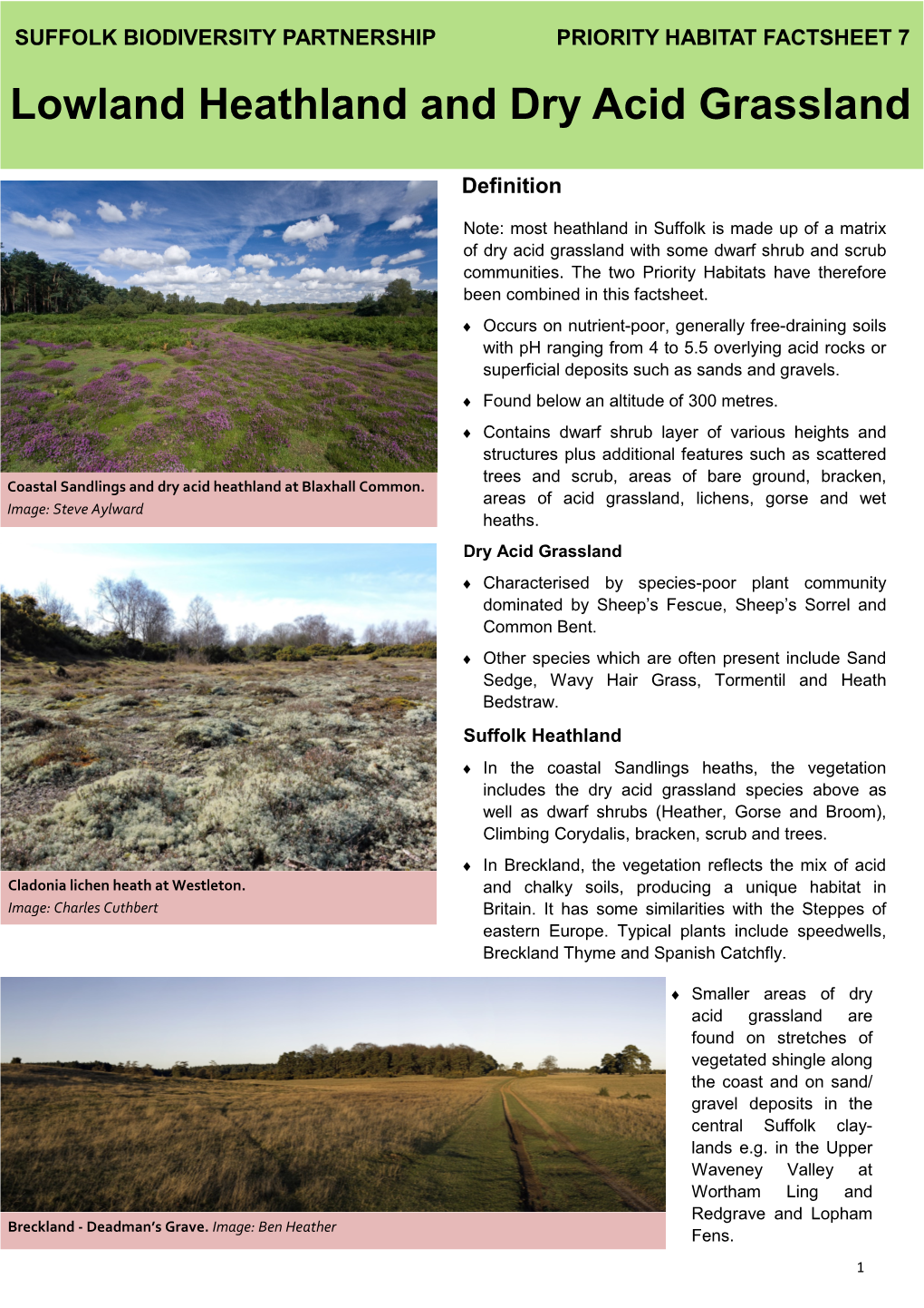 Lowland Heathland and Dry Acid Grassland
