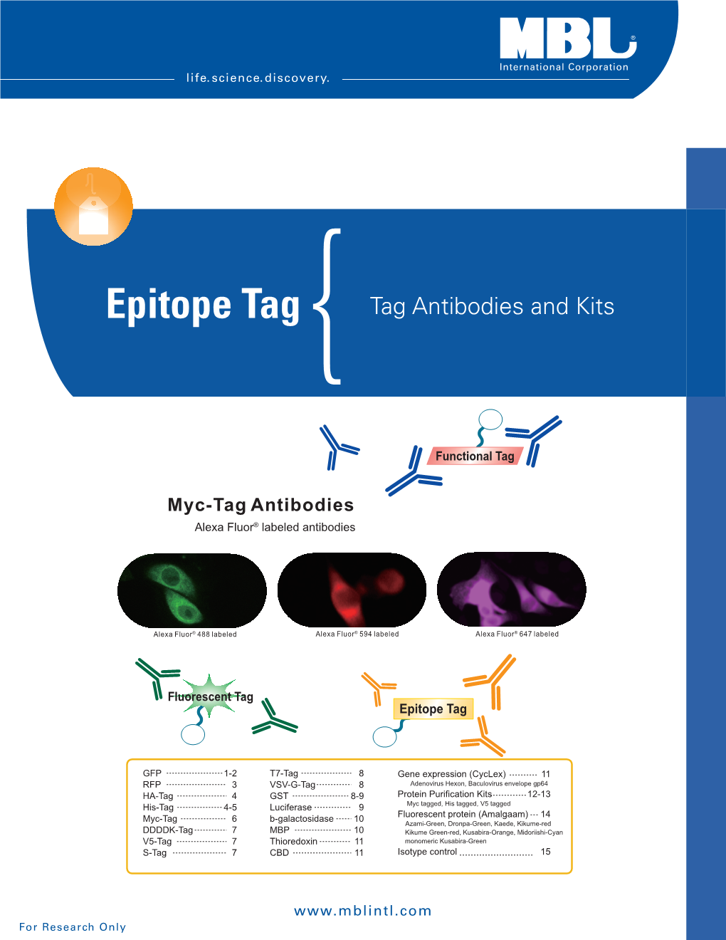 Epitope TAG Epitope Tag { Tag Antibodies and Kits