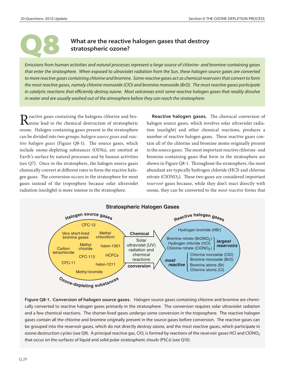 Q8 What Are the Reactive Halogen Gases That Destroy