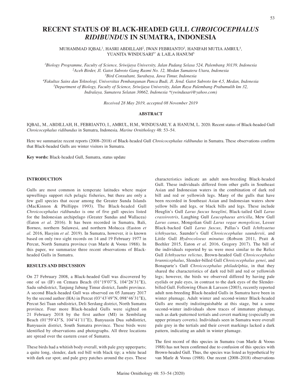 Recent Status of Black-Headed Gull Chroicocephalus Ridibundus in Sumatra, Indonesia