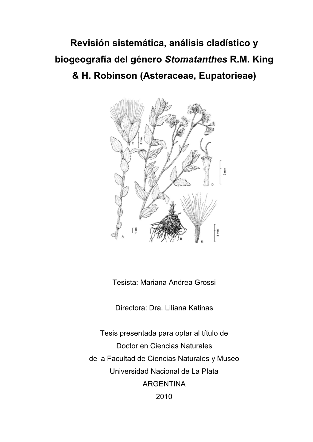 Revisión Sistemática, Análisis Cladístico Y Biogeografía Del Género Stomatanthes R.M