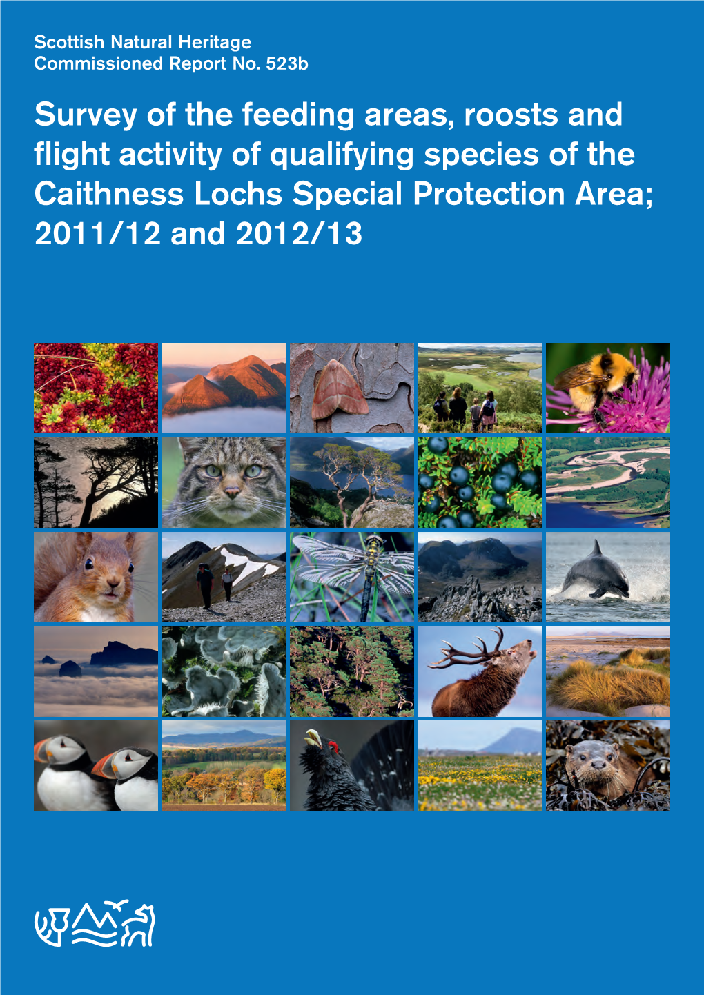 Survey of the Feeding Areas, Roosts and Flight Activity of Qualifying Species of the Caithness Lochs Special Protection Area; 2011/12 and 2012/13