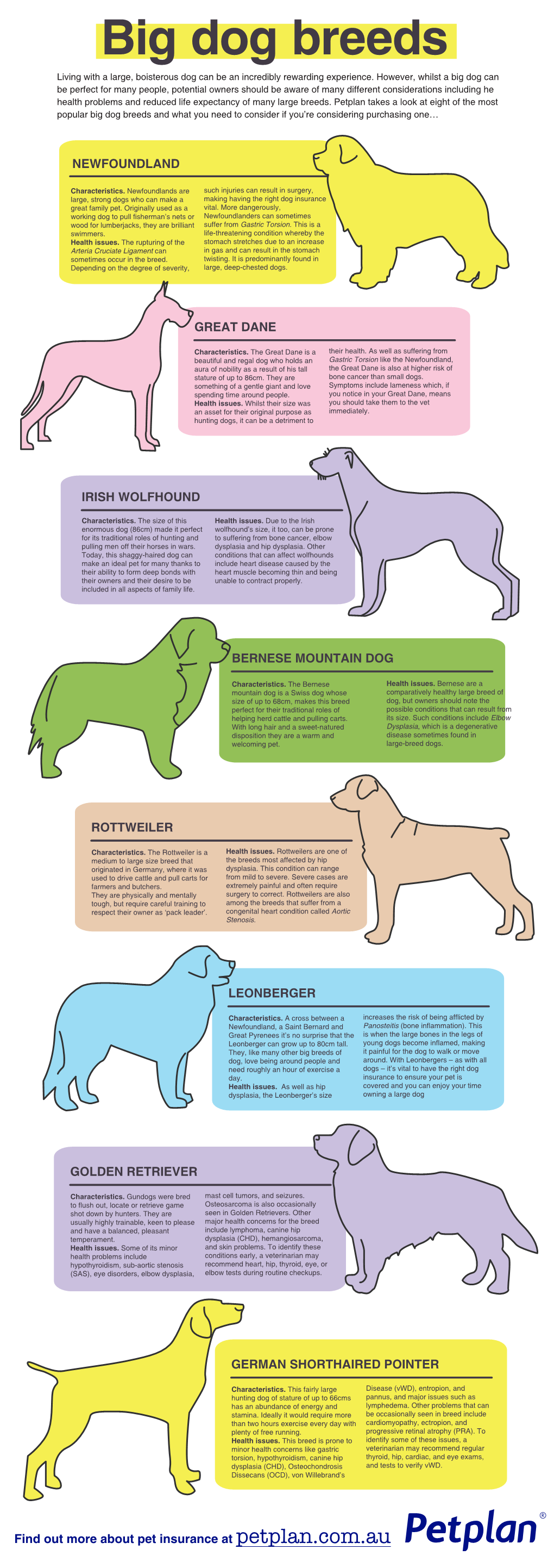 Big Dog Breeds Living with a Large, Boisterous Dog Can Be an Incredibly Rewarding Experience