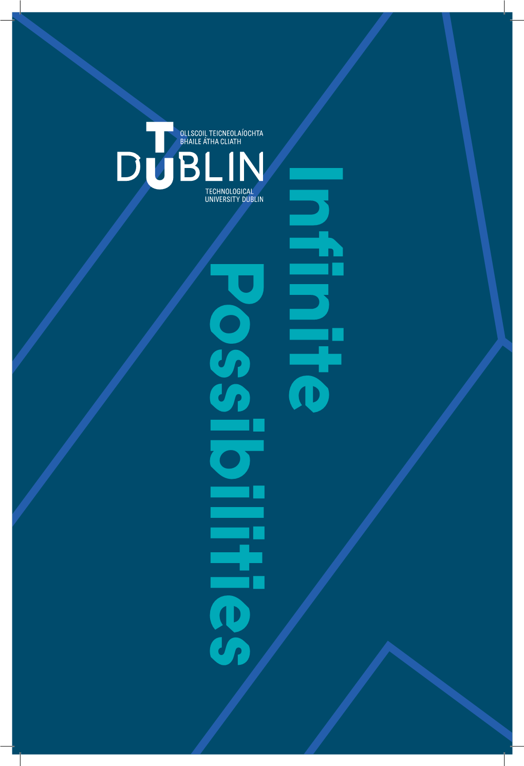 TU Dublin – a New University for a Changing World