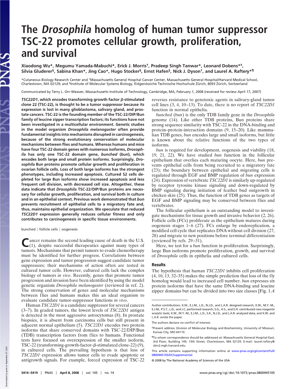 The Drosophila Homolog of Human Tumor Suppressor TSC-22 Promotes Cellular Growth, Proliferation, and Survival