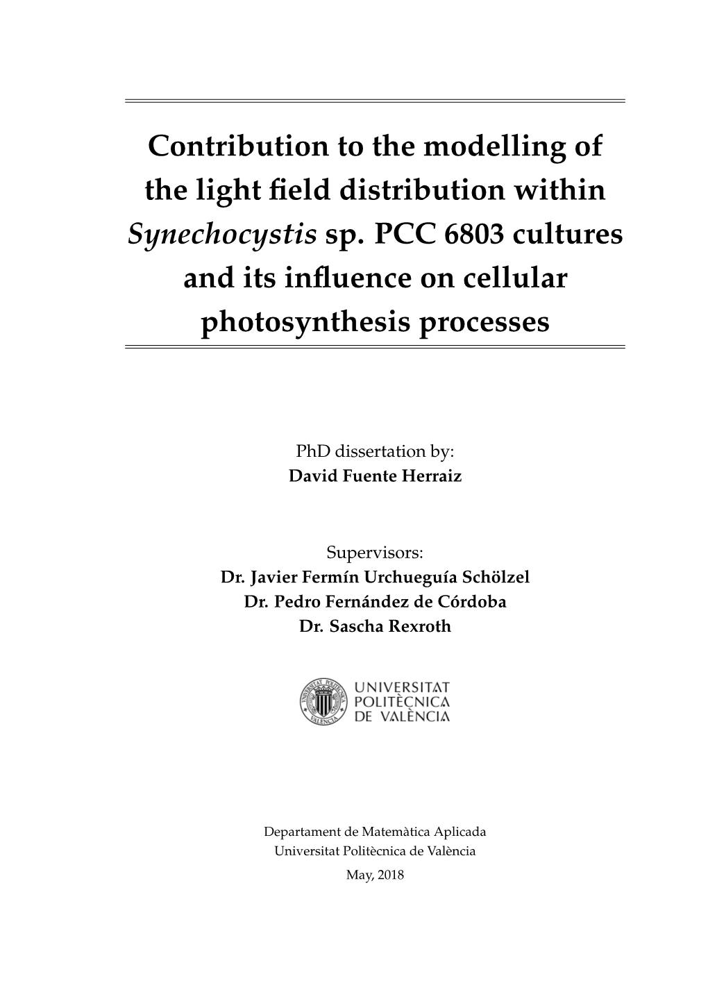 Contribution to the Modelling of the Light Field Distribution Within