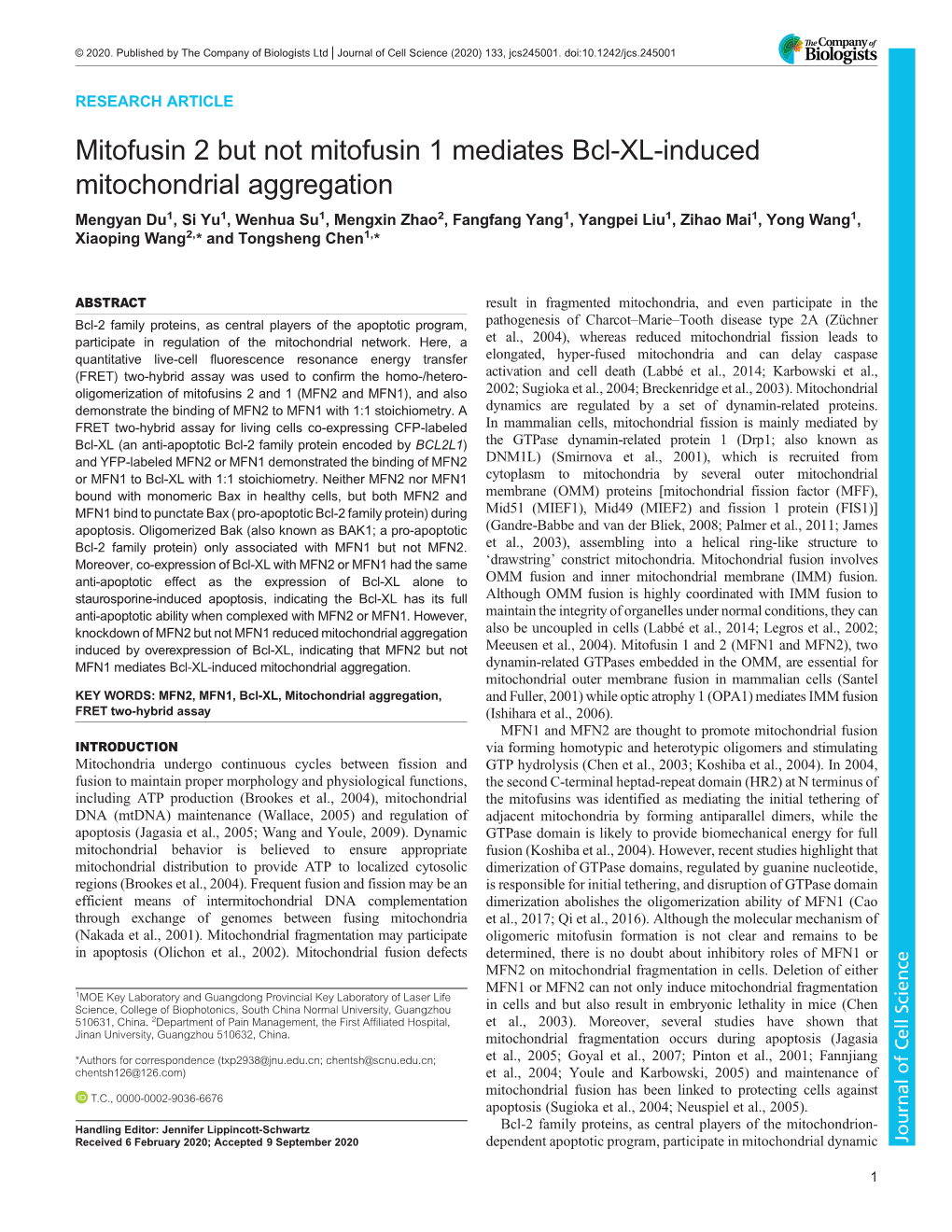 Mitofusin 2 but Not Mitofusin 1 Mediates Bcl-XL-Induced