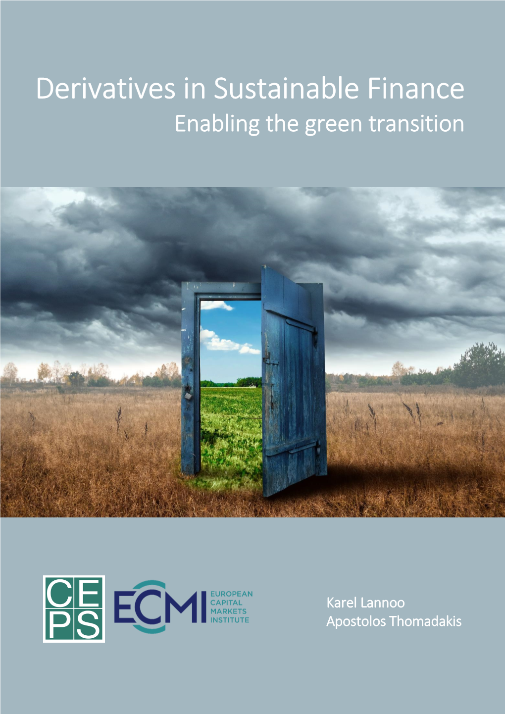 Derivatives in Sustainable Finance: Enabling the Green Transition