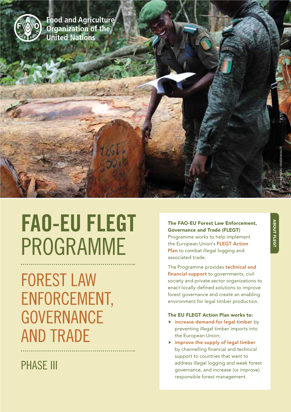 Fao-Eu Flegt Programme Achievements Achievements