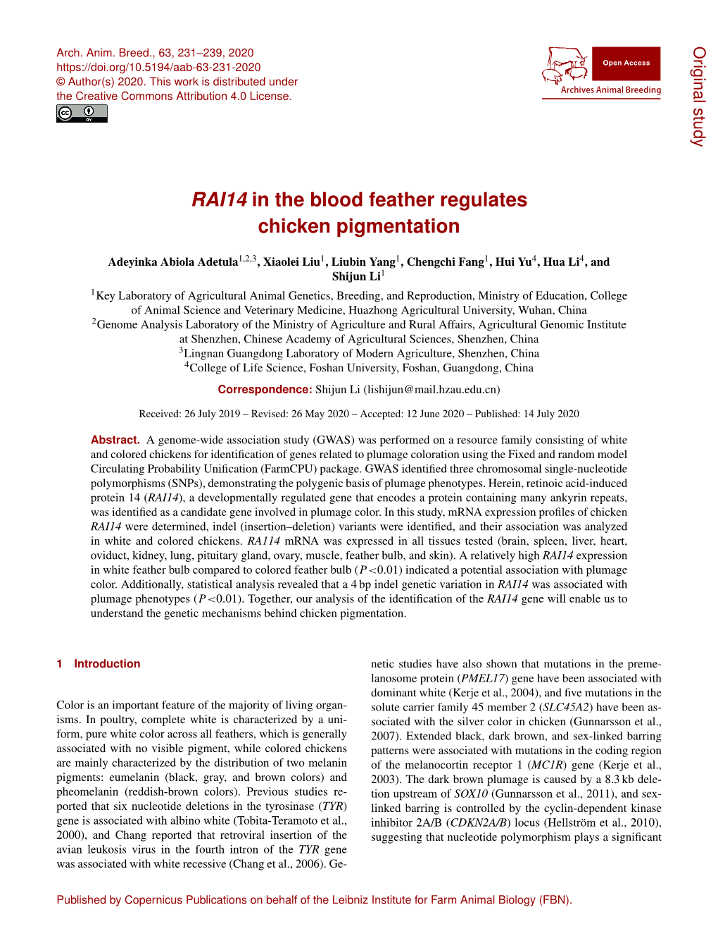 RAI14 in the Blood Feather Regulates Chicken Pigmentation