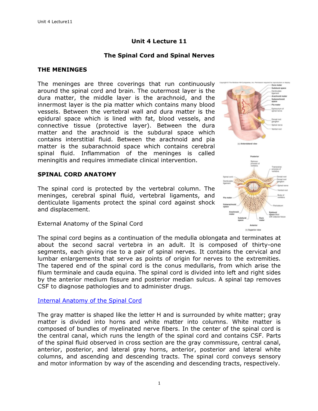 Unit 4 Lecture 11 the Spinal Cord and Spinal Nerves the MENINGES
