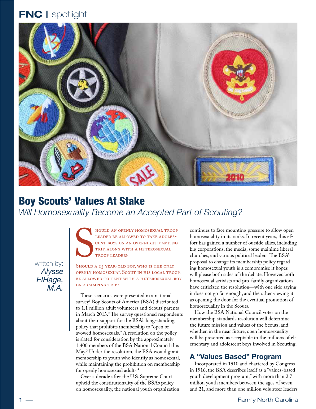 Boy Scouts' Values at Stake