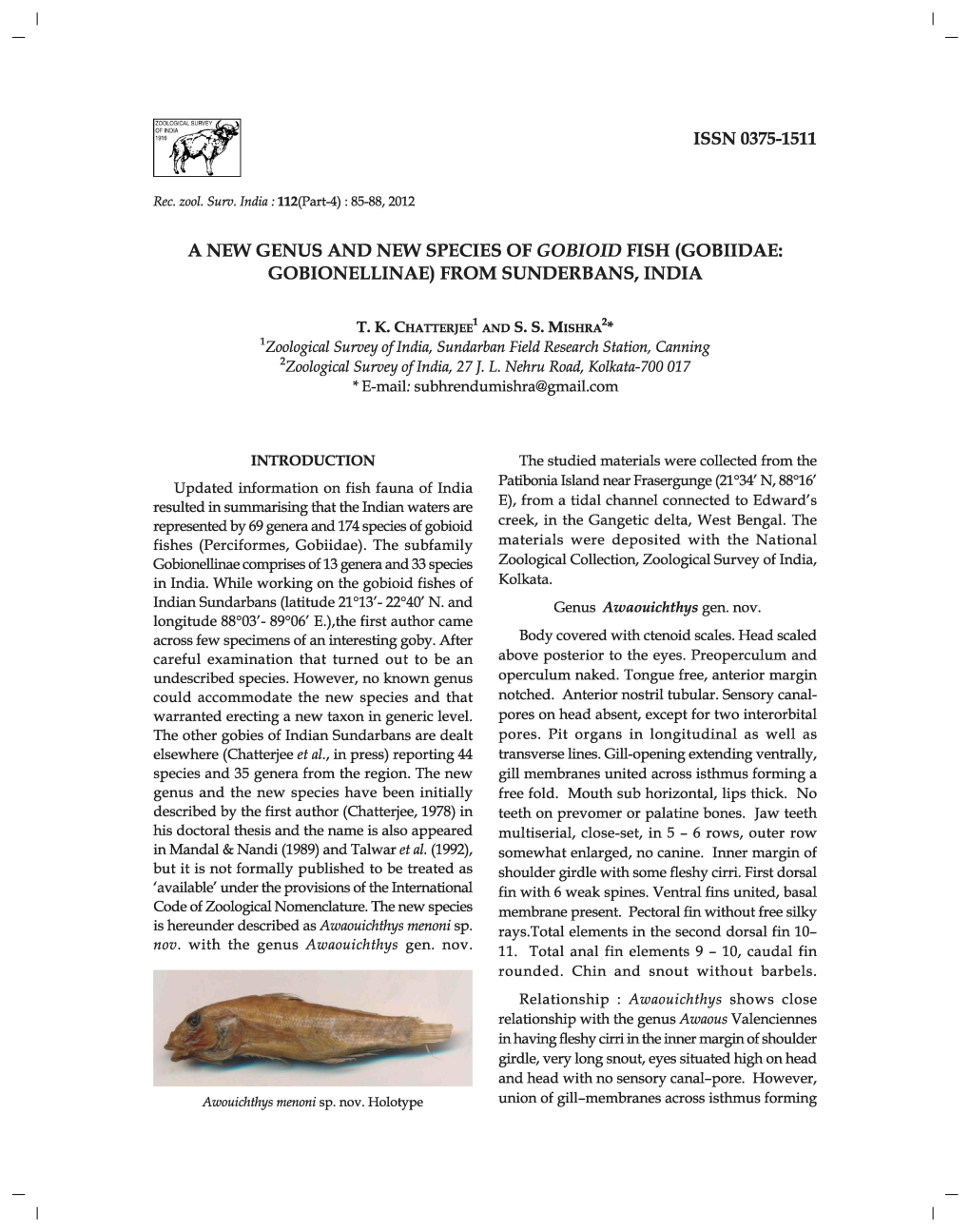 Issn 0375-1511 a New Genus and New Species of Gobioid Fish (Gobiidae: Gobionellinae) from Sunderbans, India