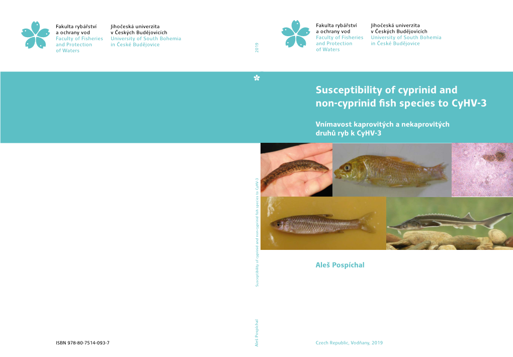 Susceptibility of Cyprinid and Non-Cyprinid Fish Species to Cyhv-3