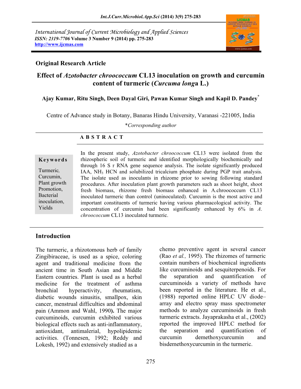 Effect of Azotobacter Chroococcum CL13 Inoculation on Growth and Curcumin Content of Turmeric (Curcuma Longa L.)