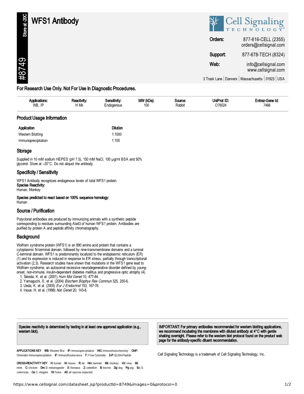 WFS1 Antibody A