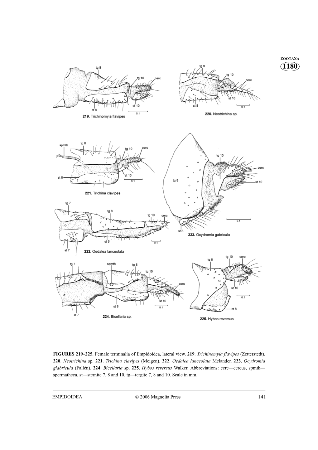 Zootaxa, Empidoidea