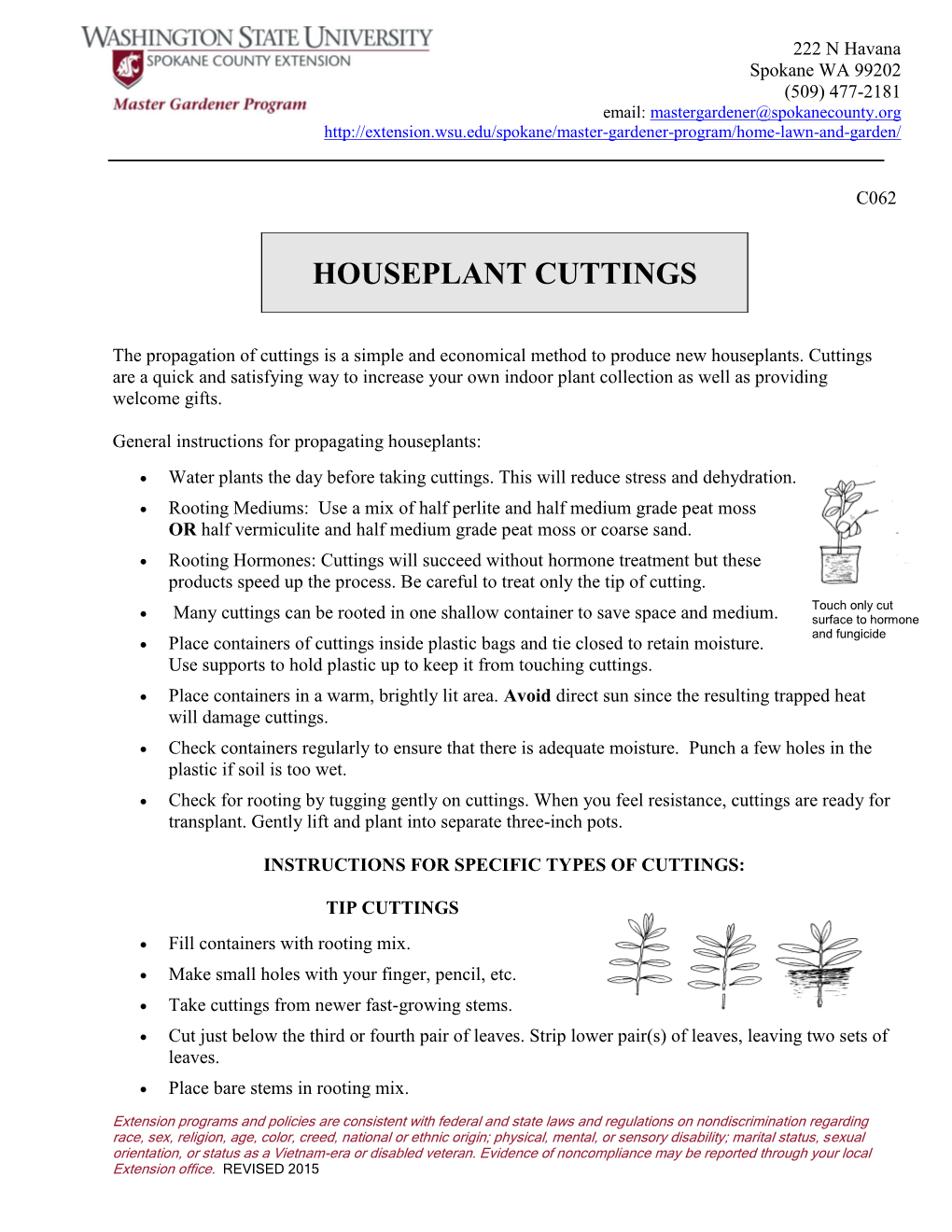 Houseplant Cuttings