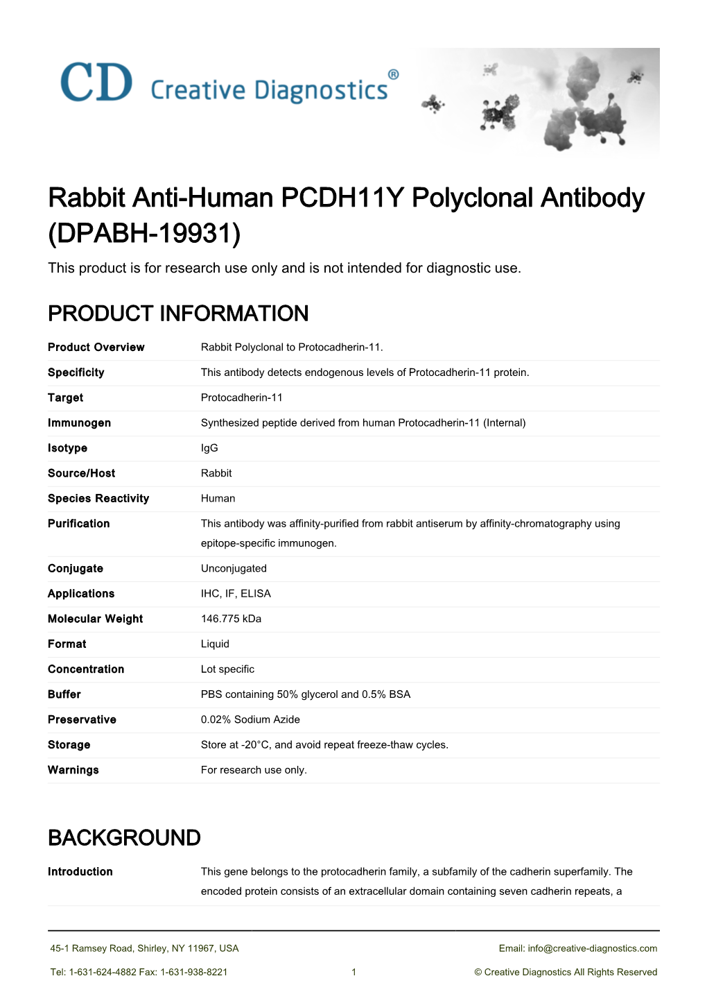 Rabbit Anti-Human PCDH11Y Polyclonal Antibody (DPABH-19931) This Product Is for Research Use Only and Is Not Intended for Diagnostic Use