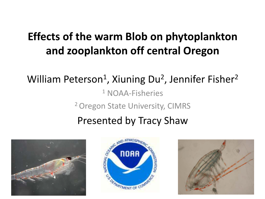 Effects of the Warm Blob on Phytoplankton and Zooplankton Off Central Oregon