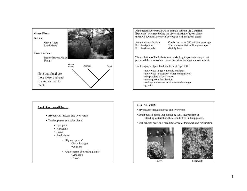 Note That Fungi Are More Closely Related to Animals Than to Plants