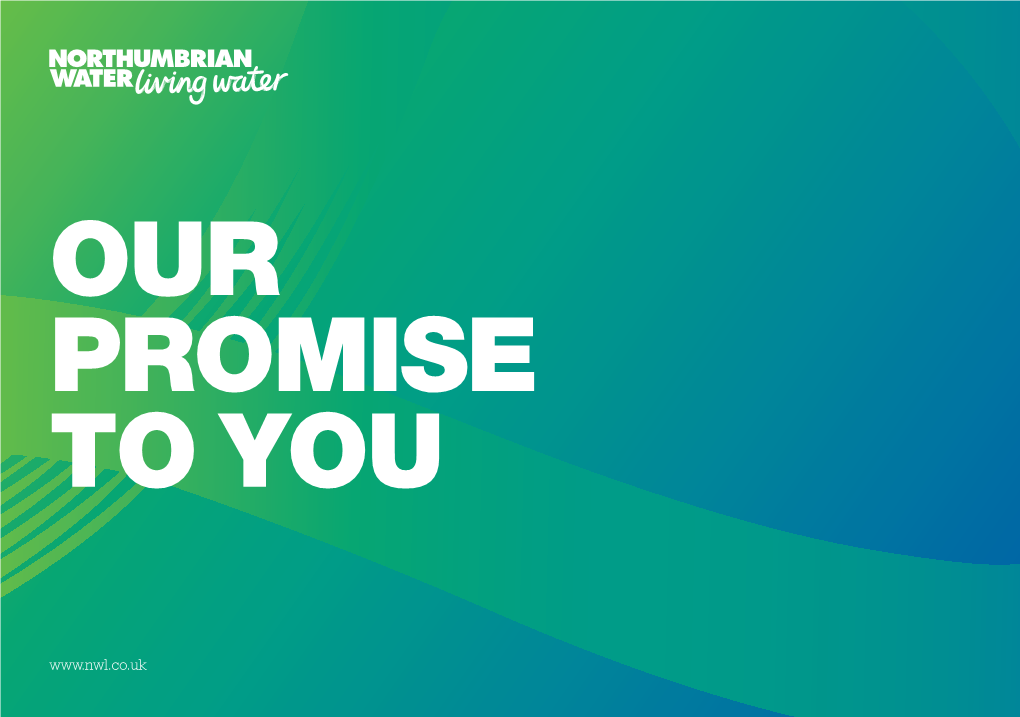 Our Promise to You