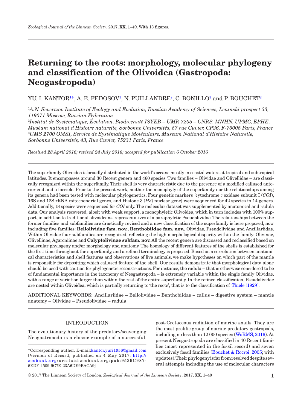 Morphology, Molecular Phylogeny and Classification of the Olivoidea (Gastropoda: Neogastropoda)