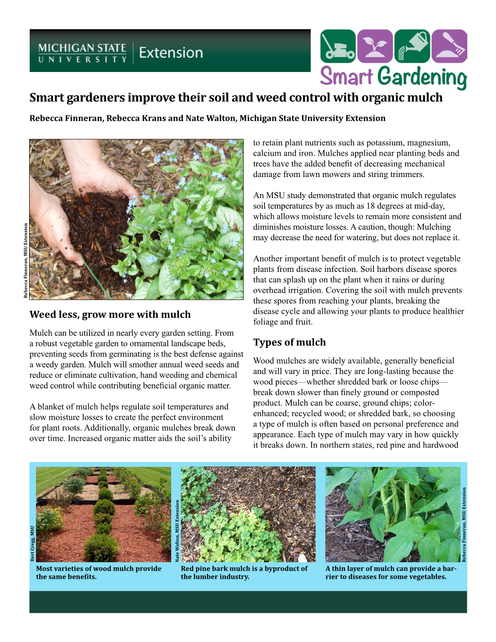 Smart Gardeners Improve Their Soil and Weed Control with Organic Mulch