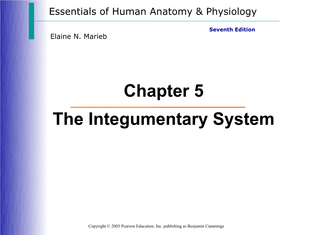 Chapter 5 the Integumentary System