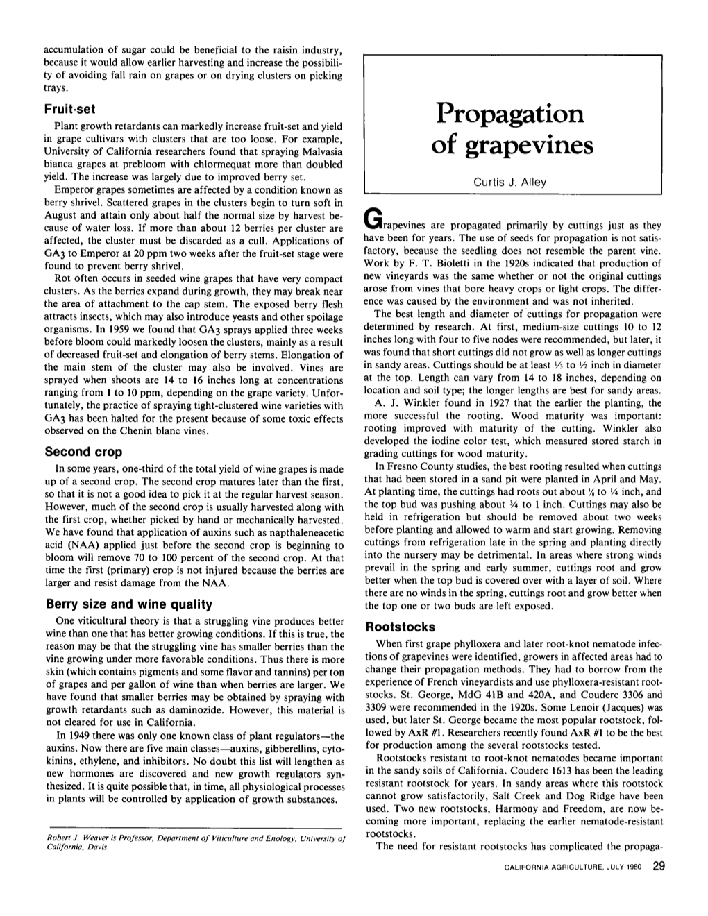 Propagation of Grapevines