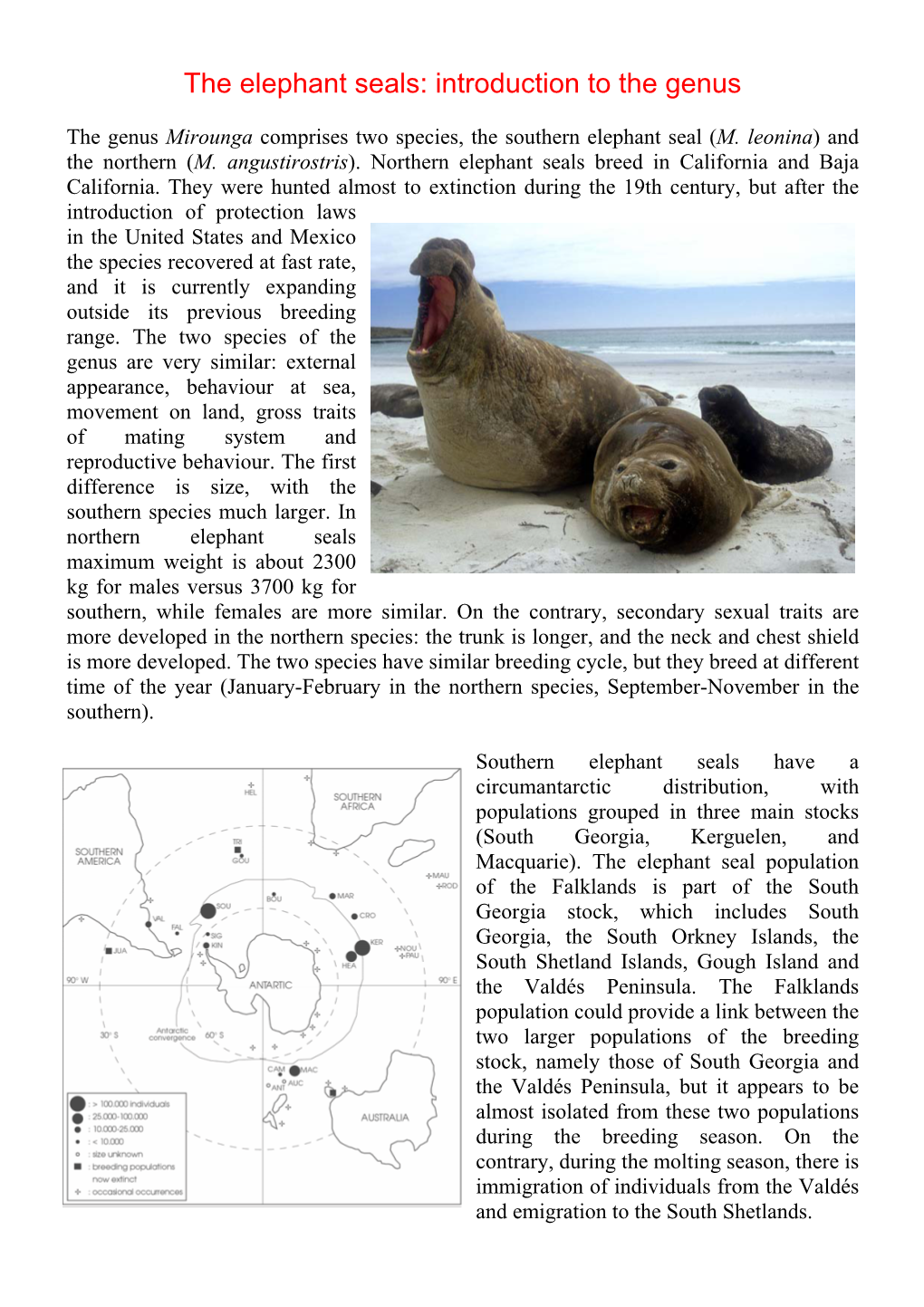 The Elephant Seals: Introduction to the Genus