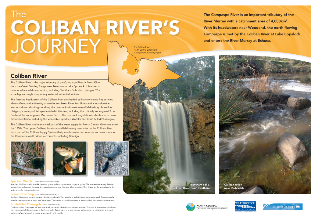 Coliban River’S Campaspe Is Met by the Coliban River at Lake Eppalock and Enters the River Murray at Echuca