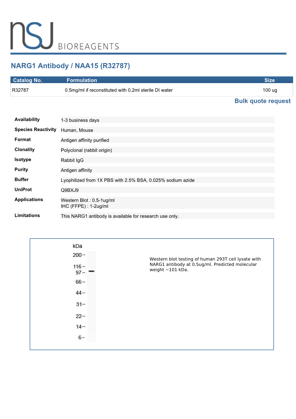 NARG1 Antibody / NAA15 (R32787)