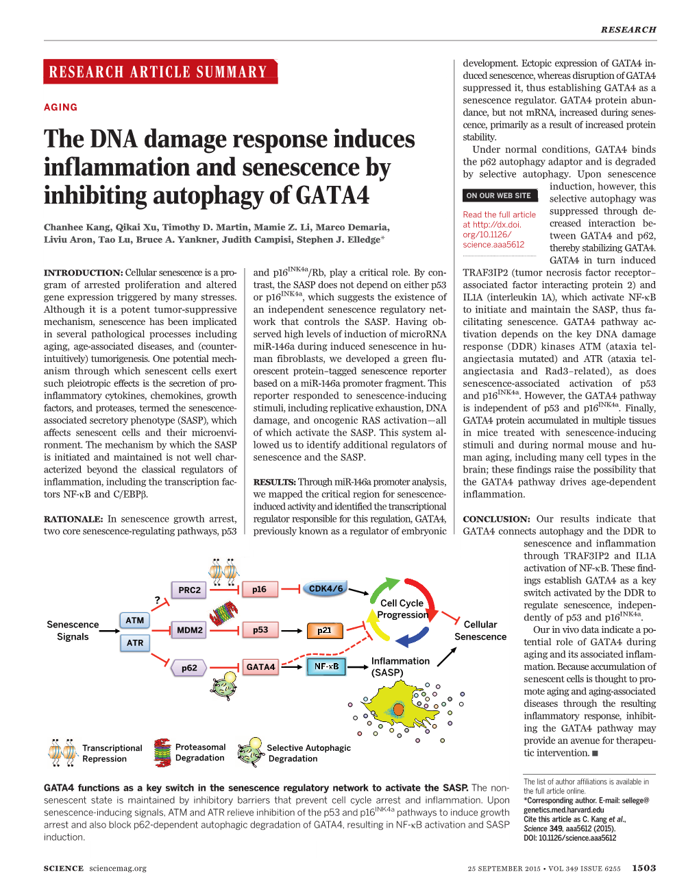 The DNA Damage Response Induces Inflammation And