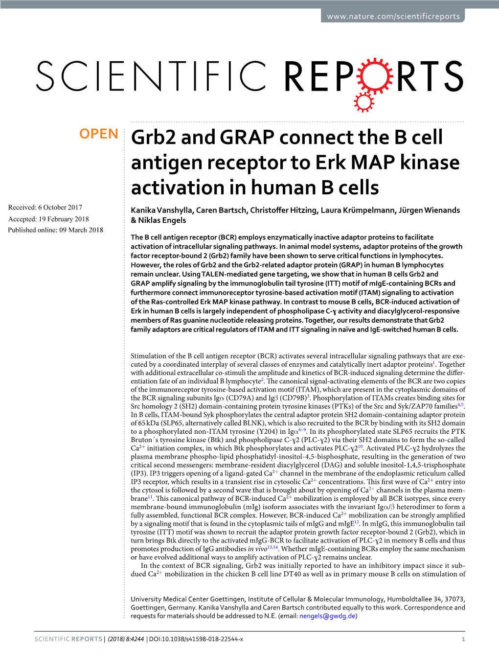 Grb2 and GRAP Connect the B Cell Antigen Receptor to Erk MAP Kinase