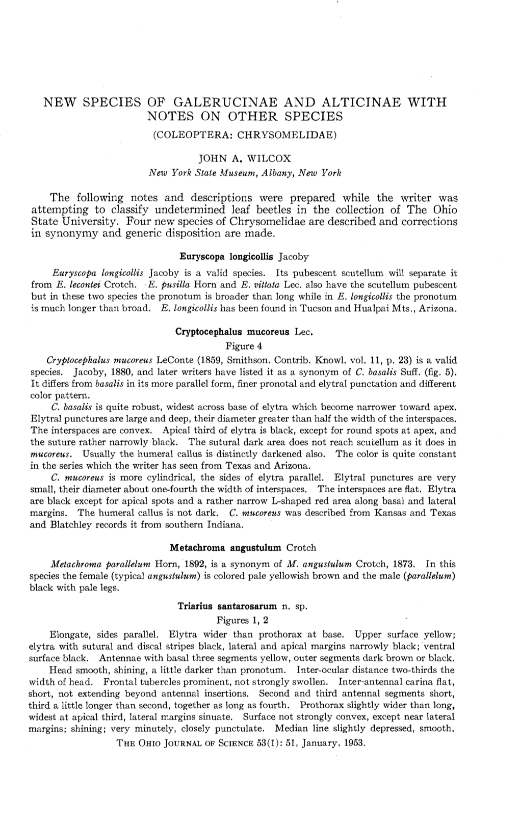 New Species of Galerucinae and Alticinae with Notes on Other Species (Coleoptera: Chrysomelidae)