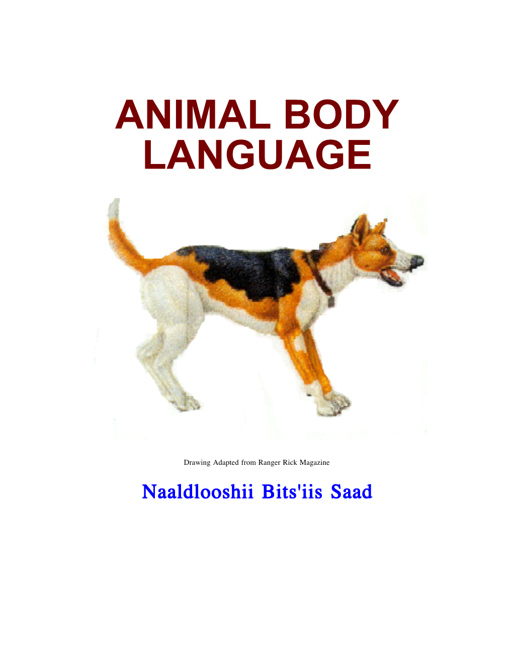 Animal Body Language (Aw6.0)