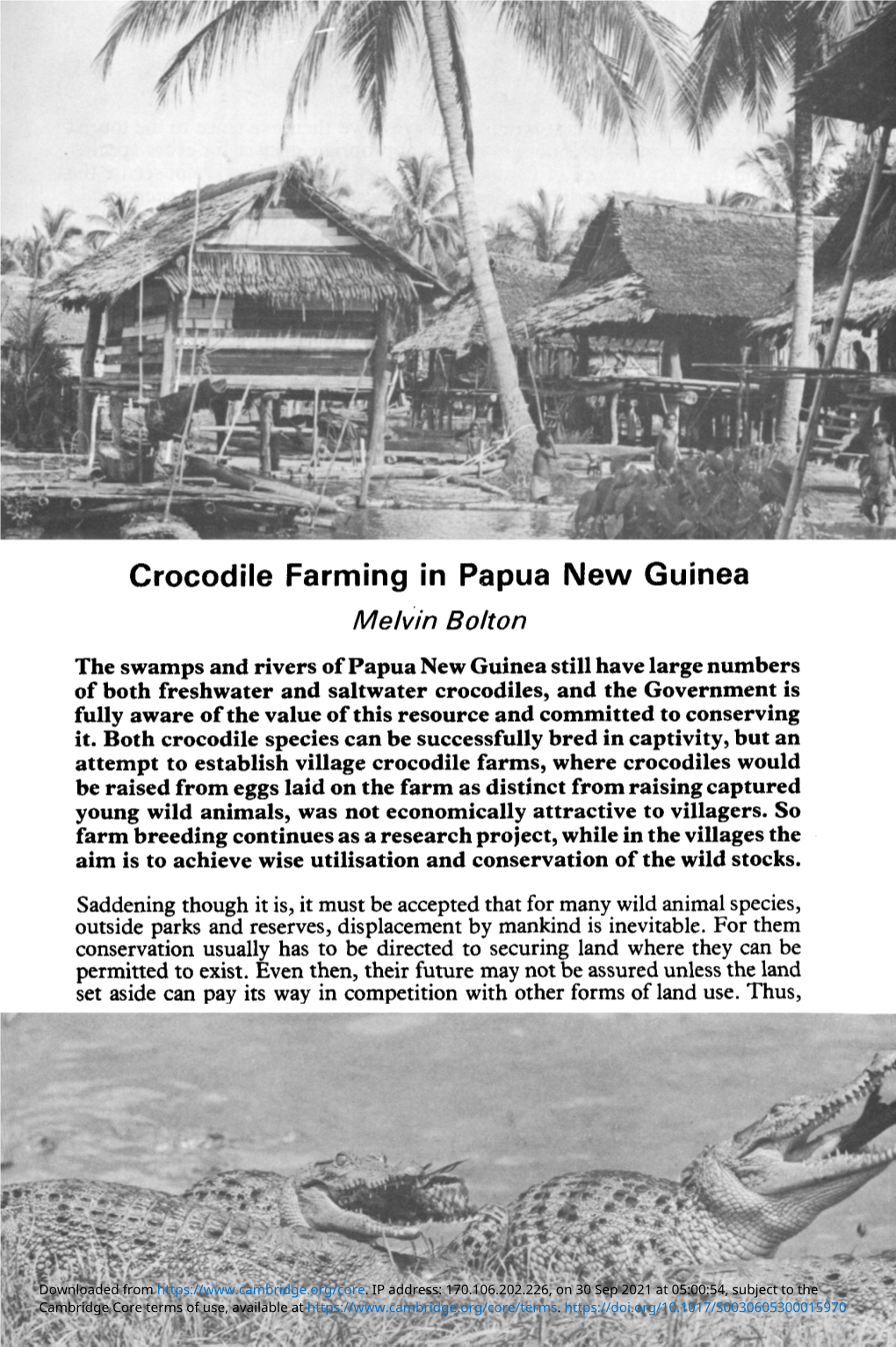 Crocodile Farming in Papua New Guinea