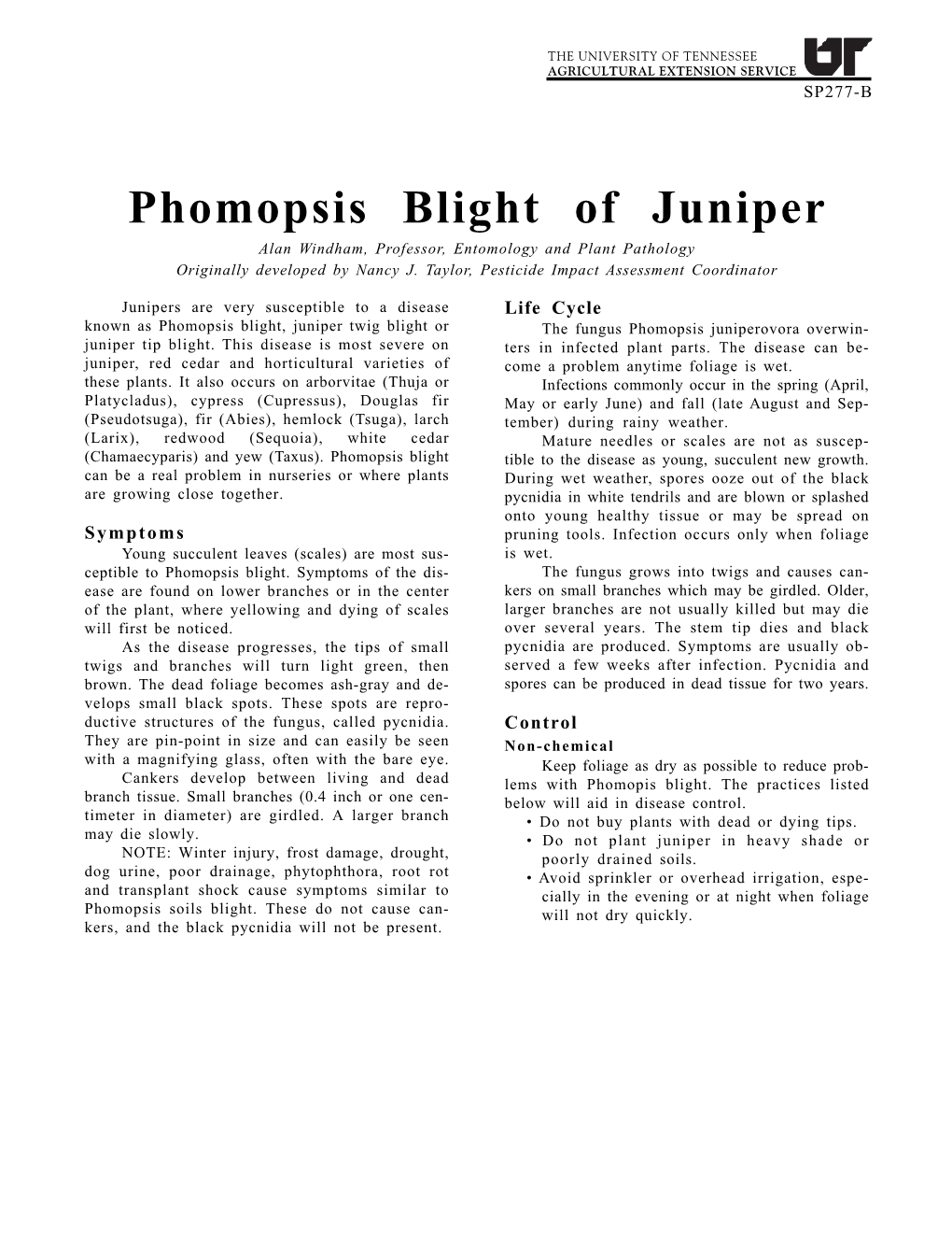 Phomopsis Blight of Juniper Alan Windham, Professor, Entomology and Plant Pathology Originally Developed by Nancy J