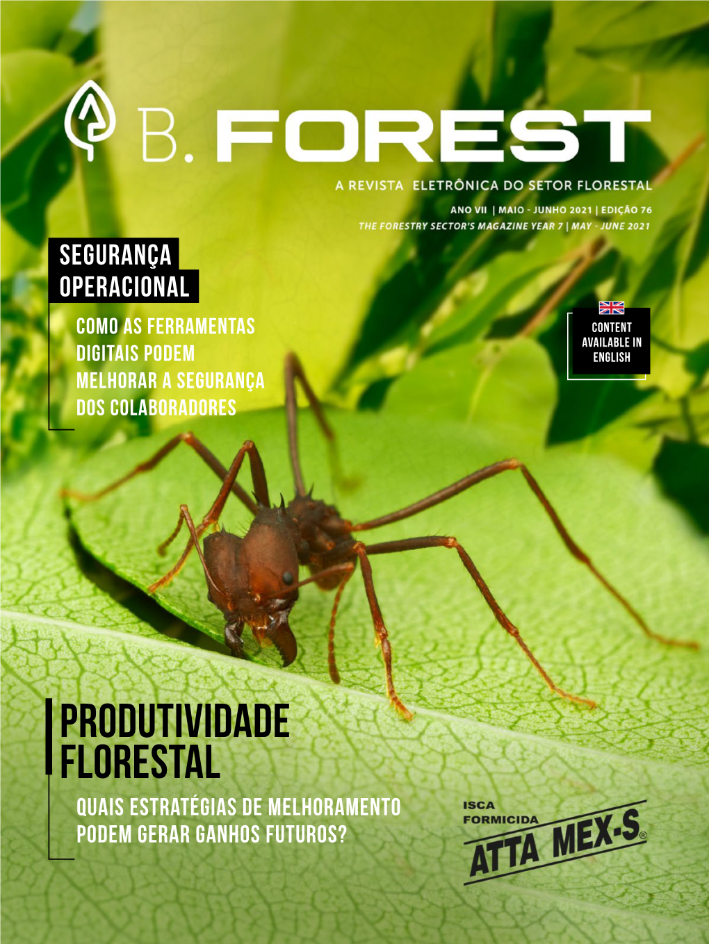 Produtividade Florestal